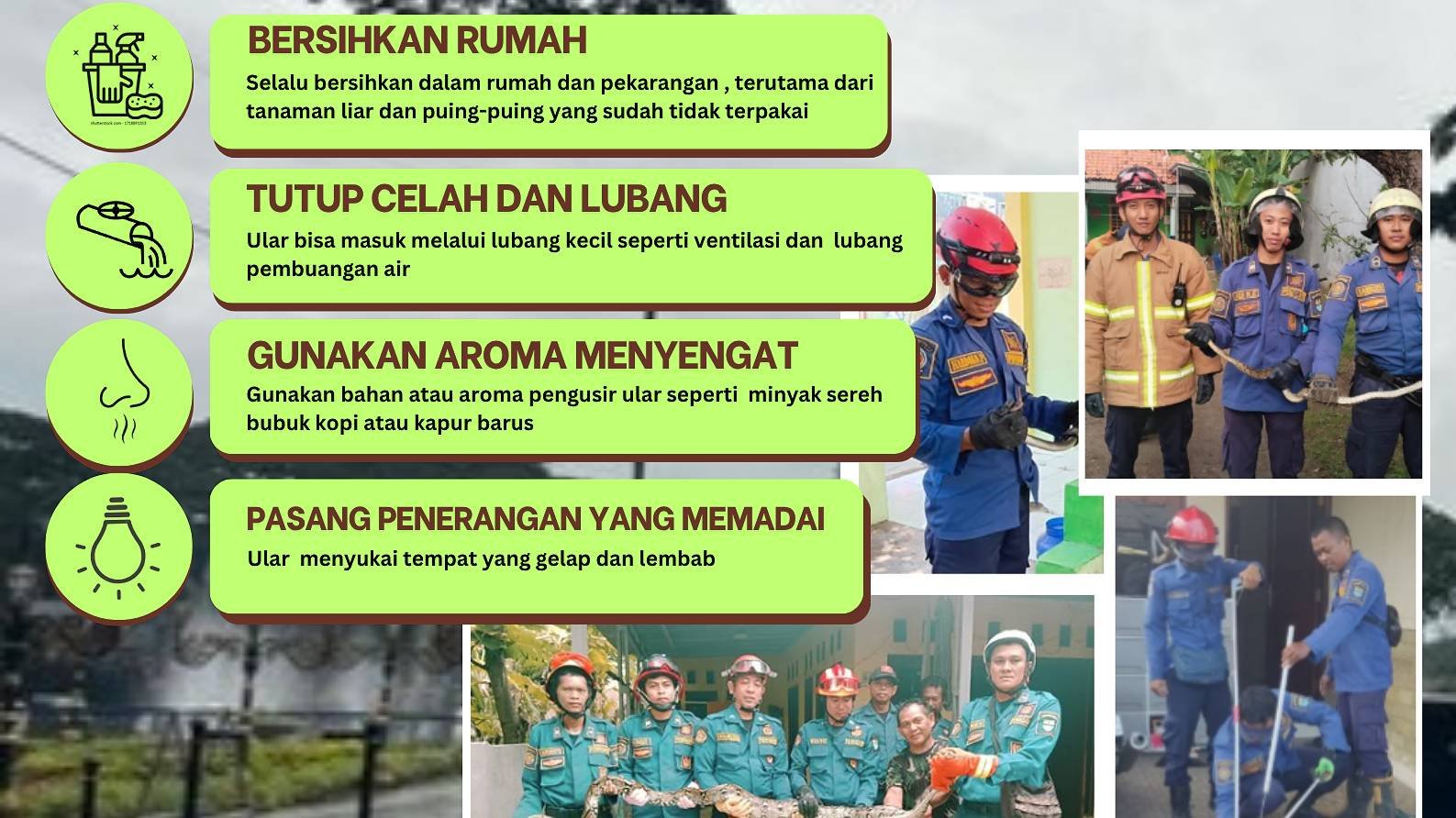 WASPADA MUSIM HUJAN : Tips Mencegah Ular Masuk Rumah